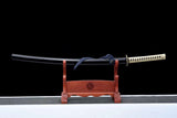 The Kawano Ichiro Handmade Katana Carbon Steel
