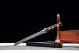 The Kodai Hoshizora Handmade Tanto Katana Clay Tempered T10 Steel