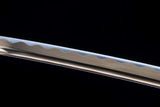 The Aki Gan Senshi Handmade Katana Wakizashi Carbon Steel