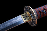 The Arashinoumichi Handmade Tanto Katana Clay Tempered T10 Steel