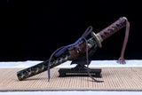 The Arashinoumichi Handmade Tanto Katana Clay Tempered T10 Steel