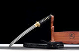 The Mizu Tsuki Handmade Tanto Katana Clay Tempered T10 Steel