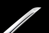 The Taikyokuren Handmade Katana Spring Steel