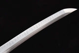 The Goruden Banbu Handmade Tanto Katana Clay Tempered T10 Steel