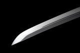 The Surudoi Wakizashi