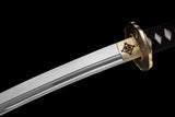 The Surudoi Wakizashi