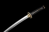 The Surudoi Wakizashi