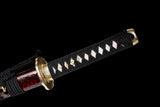 The Surudoi Wakizashi