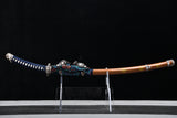 The Hoshikage Sanmai Steel Tachi