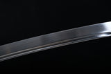 The Yamitsuki Carbon Steel Tachi