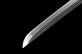 The Fukyo Katana Spring Steel Double Bohi Razor Sharp