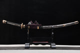 The Akebono T10 Steel Tachi