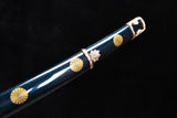 The Hibikaze T10 Steel Tachi