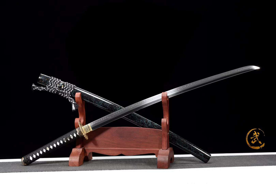 K*o様 アガベ・チタノタ・黒武士【龍球会特選】black samurai・レア Yahoo!オークション -「黒武士」の落札相場・落札価格