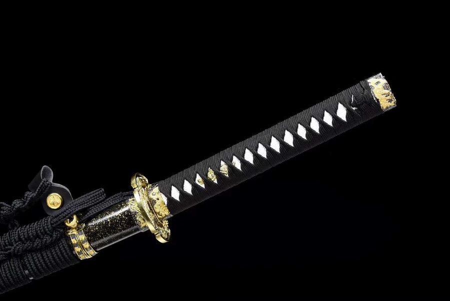 K*o様 アガベ・チタノタ・黒武士【龍球会特選】black samurai・レア Yahoo!オークション -「黒武士」の落札相場・落札価格