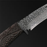 The Dark Warrior Damascus Steel Fixed Blade