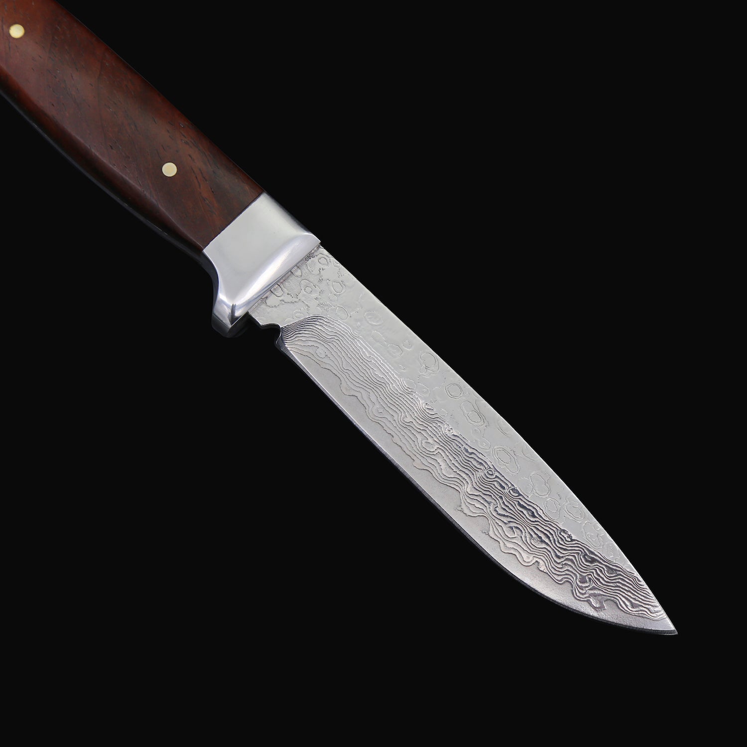 The Path Finder Damascus Steel Fixed Blade