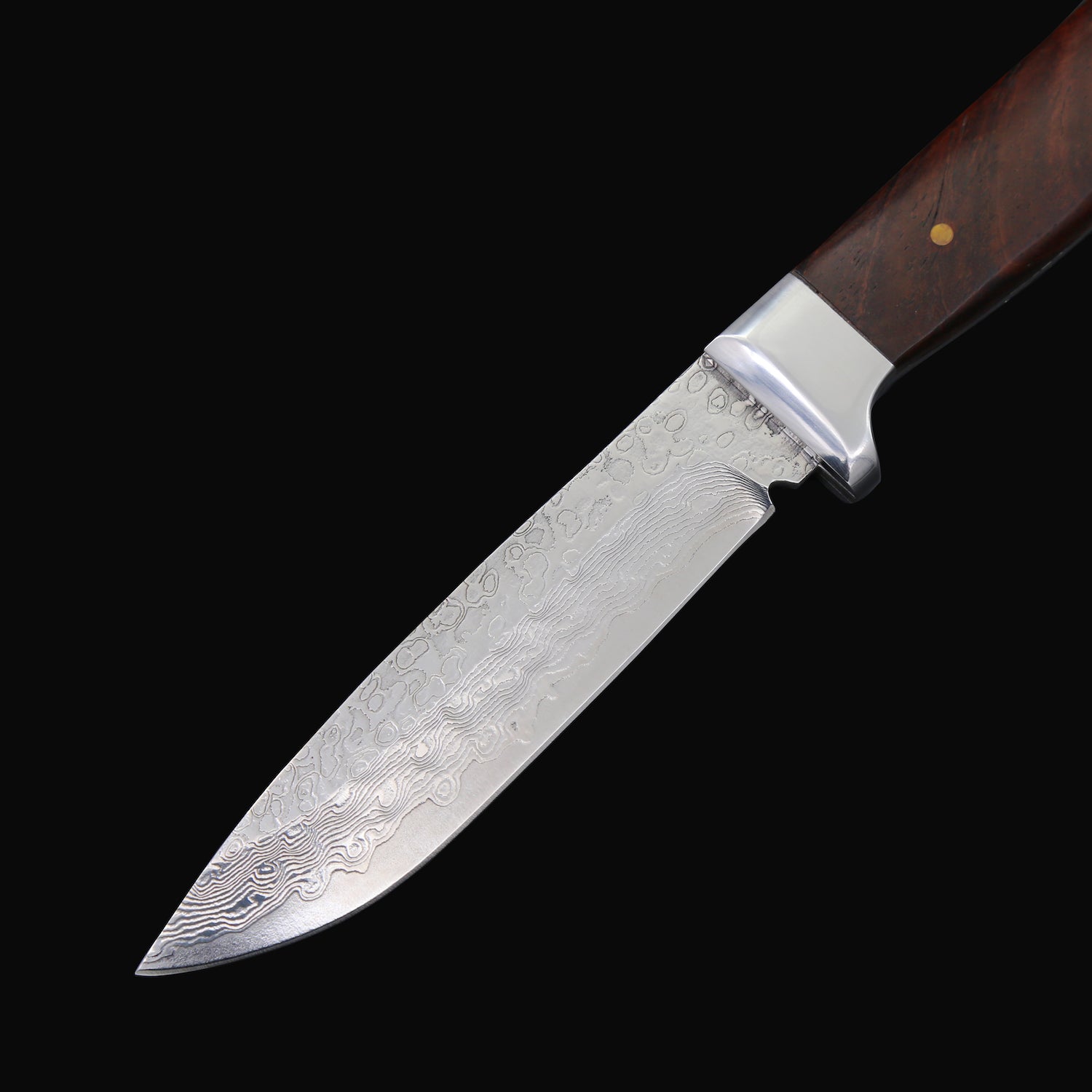 The Path Finder Damascus Steel Fixed Blade